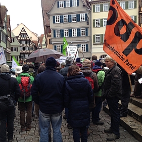 Demonstration Wir haben es satt Tübingen